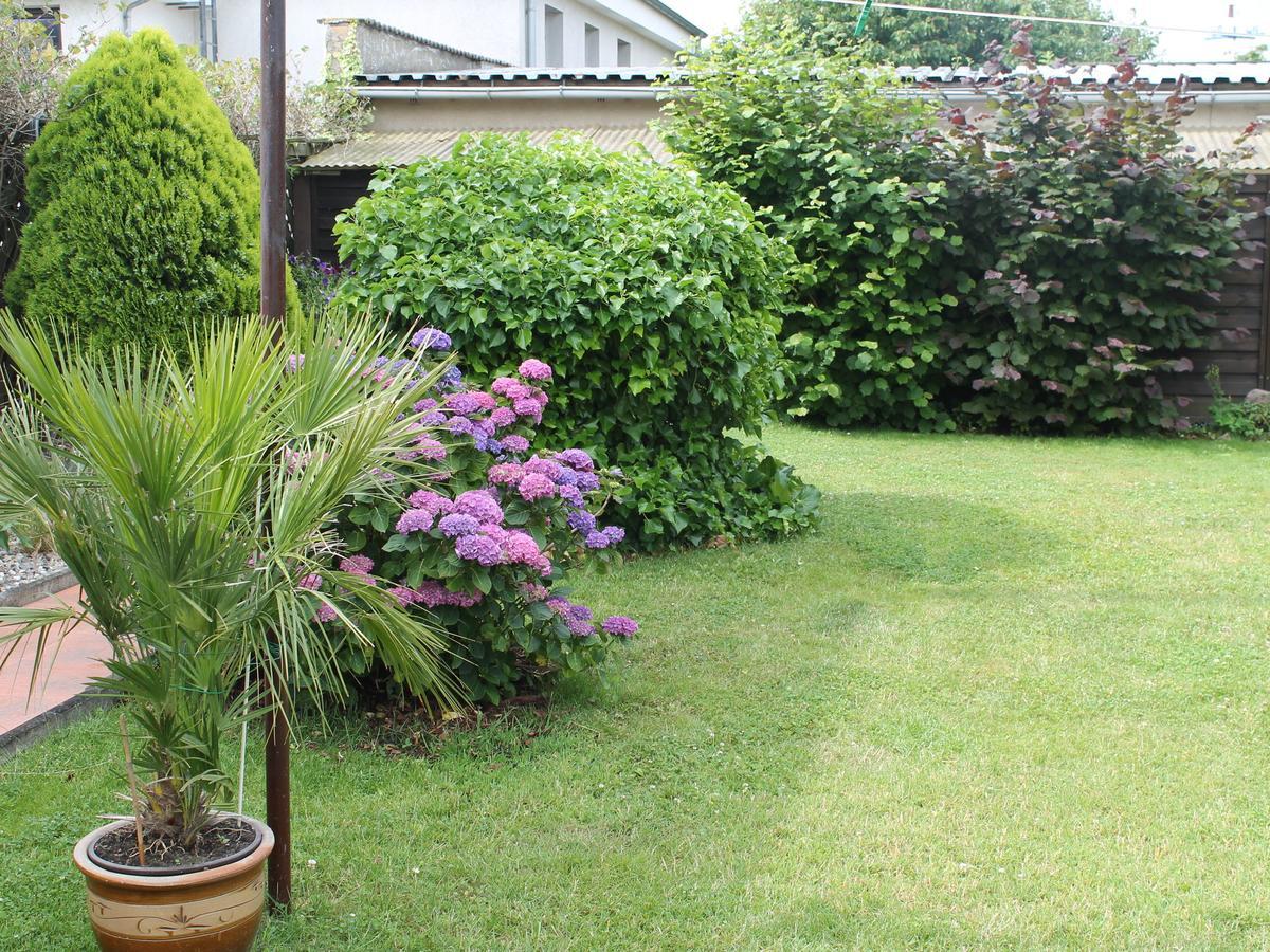 Apartment Rerik With Fenced Garden Eksteriør billede